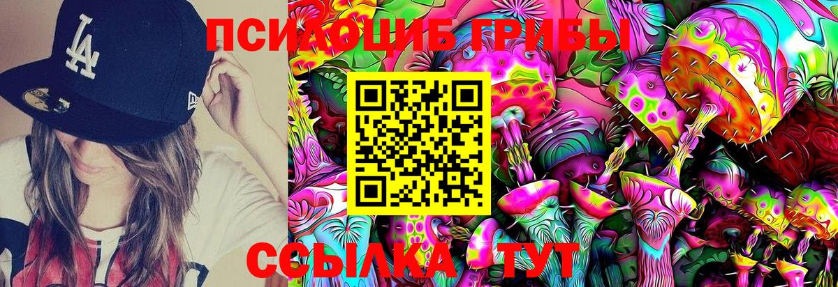 Псилоцибиновые грибы Psilocybe  Галлюциногенные грибы Cubensis  Солнечногорск  Вход с VPN 