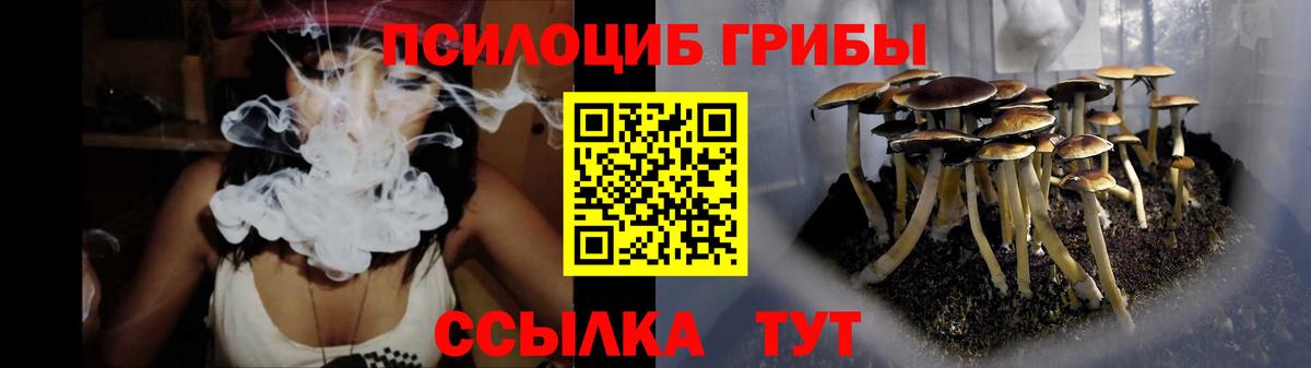 Псилоцибиновые грибы мухоморы Солнечногорск